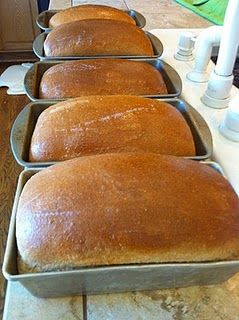 Easy Bread Recipe, Bread Bun, Easy Bread Recipes, Easy Bread, Bread Recipes Homemade, Breakfast Breads, Whole Wheat Flour, Bread Dough, Whole Wheat