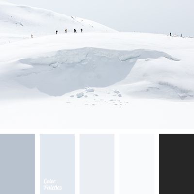 Resource that helps you in color selection, specially created with this aim; it is the generator of inspiration. Light Grey Pantone Palette, White Shades Palette, Shades Of White Color Palette, White Palette Color, White Combination Colour, Grey White Color Palette, Off White Color Palette, Snow Palette, White Color Combinations