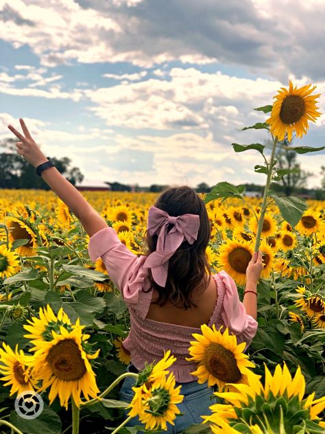 Pink bow and shirt with short jeans in a sunflower field Sunflower Picking, Sunflower Field Photography, Sunflower Field Pictures, Field Pictures, Sunflower Farm, Field Photography, Strawberry Farm, Sunflower Field, 30th Bday