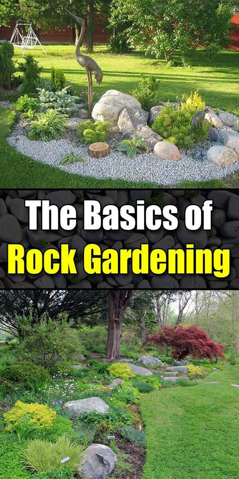 The Basics of Rock Gardening - Golly Gee Gardening Funny Vine, Garden Rocks, Rock Garden Plants, Building A Raised Garden, Rock Garden Design, Rock Gardens, Rock Garden Landscaping, Front Yard Landscaping Design, Landscaping With Rocks