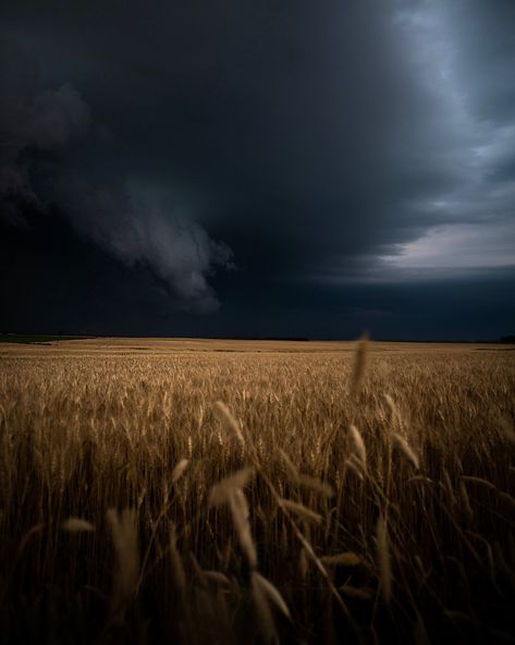 @DreadlockTvlr Dark Weather, Cool Pictures Of Nature, Dark Skies, Nature Aesthetic, Photo Reference, Sky Aesthetic, Nature Travel, Beautiful Photography, Nature Pictures