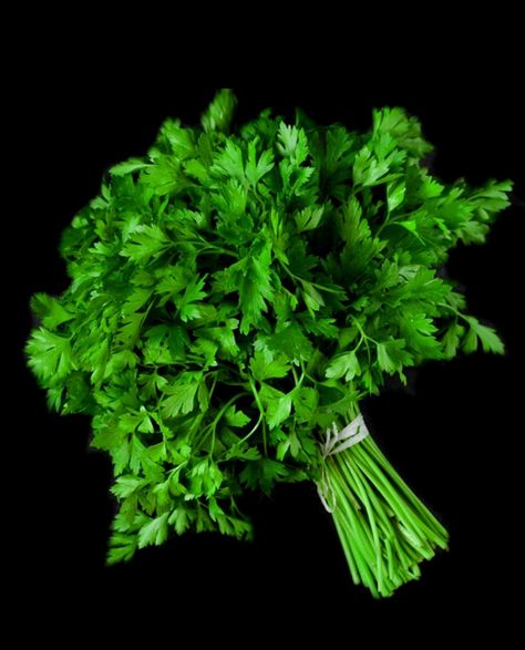 Parsley (herb) Parsley Aesthetic, Roman Noodles, Healing Flowers, Beautiful Landscape Wallpaper, Noodle Recipes, Parsley, Landscape Wallpaper, Food Store, Birthday Cake Kids