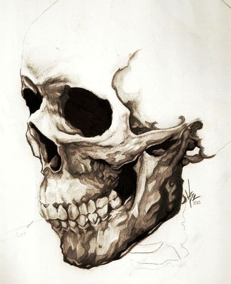 Skull References, Cool Skull Drawings, Skull Art Tattoo, Skull Reference, Skull Stencil, Skull Sleeve, Skull Art Drawing, Skull Pictures, Skulls Drawing