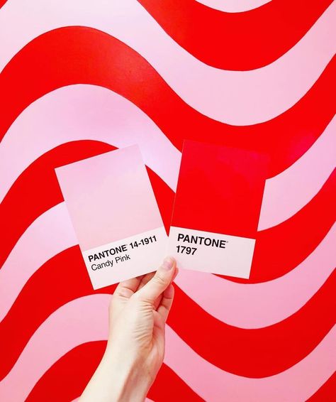 PANTONE on Instagram: “Some PANTONE 🍬 Pink for Valentine’s Day Weekend by @lucialitman” Jenny Walton, Pantone Red, Red Colour Palette, Pink Palette, Color Palette Pink, Colour Combo, Color Inspo, Red Design, Pink Brand