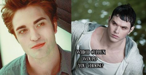 Twilight Quizzes, Scenario Questions, Twilight Quiz, Personality Questions, Twilight Vampires, Twilight Soundtrack, Personality List, Twilight Wolf Pack, Soulmate Quiz