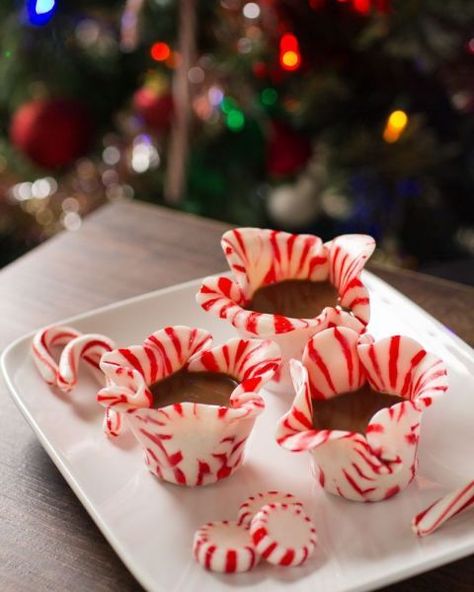 In this second version of a DIY shot glass, swap the candy canes for peppermints and transform them into fun-shaped glasses that each have an individual flair.  Get the tutorial at Stylist. Edible Shot Glasses, Candy Shots, Peppermint Treats, Candy Cane Crafts, Candy Cane Decorations, Candy Crafts, Peppermint Candy, Gorgeous Christmas, Diy Candy