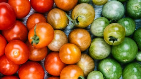 If you have ever wondered what to do with end-of-season green cherry tomatoes, it turns out that the options are virtually endless. Here's what to know. Green Cherry Tomatoes What To Do With, What To Do With Green Cherry Tomatoes, What To Do With Green Tomatoes, Tomato Side Dish Recipes, Chili Recipe No Tomatoes, Green Cherry Tomatoes, Cherry Pepper Recipes, Tomato Side Dishes, Green Tomato Recipes