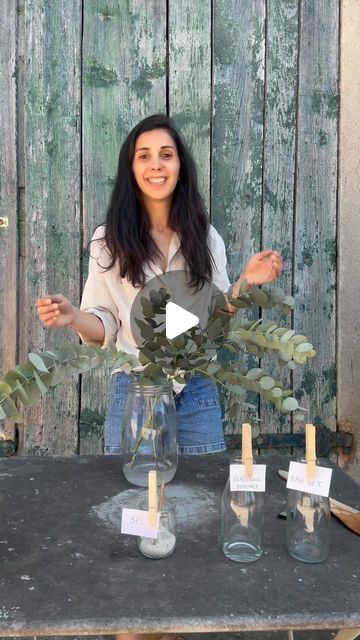 Flowrette.com on Instagram: "Je vous montre comment stabiliser des branches d’eucalyptus avec seulement 3 ingrédients 🌿" Eucalyptus Bouquet Vase, How To Dry Eucalyptus Branches, Greenery Vase, Eucalyptus Wedding Decor, Eucalyptus Centerpiece, Eucalyptus Bouquet, Feuille Eucalyptus, Dried Eucalyptus, Eucalyptus Branches