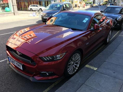 Burgundy Mustang, Burgundy Car, 2015 Mustang Gt, Mustang V8, Red Mustang, 2014 Mustang, Car Things, 2015 Mustang, Mustang Cars