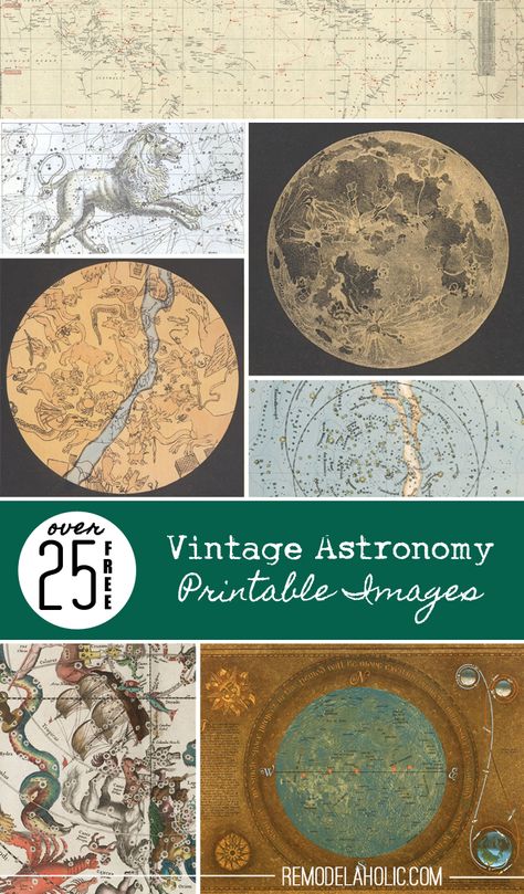 Vintage Astronomy, Kunstjournal Inspiration, You Are My Moon, Vintage Clipart, Japan Illustration, Printable Images, Free Poster, Images Vintage, Floral Image