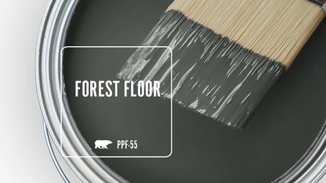 PPF-55 FOREST FLOOR | Behr Paint Colors Behr Moody Green, Black Outdoor House Paint, Behr Wood Stain Colors, Smokey Green Paint, Behr Dark Green Paint Colors, Behr Green Paints, Dark Forest Green Paint, Behr Green Paint Colors, Moody Basement