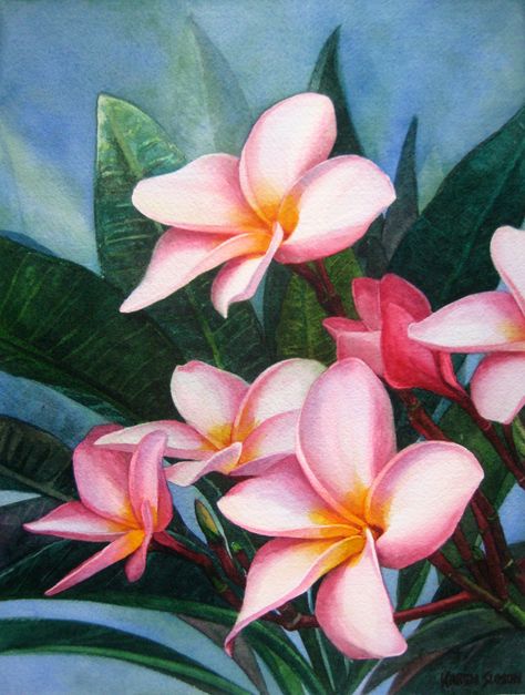 Pink Plumeria~Karen Sioson Watercolors: May 2011 Flores Plumeria, Pencil Colour Painting, Hawaii Painting, Beautiful Flower Drawings, Water Paint, Board Painting, Plumeria Flowers, Paint Paper, Snowman Faces