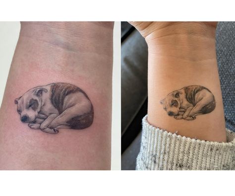 Dog Curled Up Tattoo, Dog Tattoo Wrist, Healed Tattoo, Cute Matching Tattoos, Prison Tattoos, Paw Tattoo, Up Tattoo, R Tattoo, Chinese Symbols