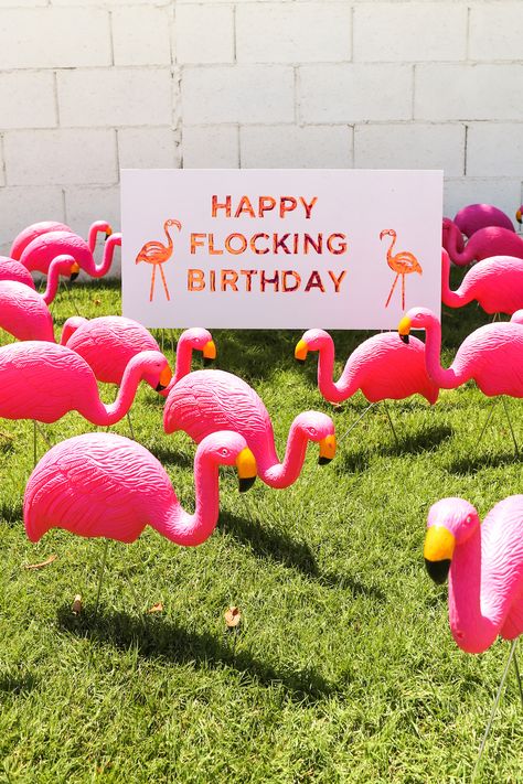 Give your friend a Happy Flocking Birthday with a Flamingo Flocking! // Salty Canary // #ad #CricutMade Flamingo Birthday Decorations, 60th Birthday Ideas For Mom, Flamingle Party, Happy Birthday Pink, Flamingo Themed Party, Flamingo Birthday Party, Birthday Yard Signs, Flamingo Birthday, Flamingo Party