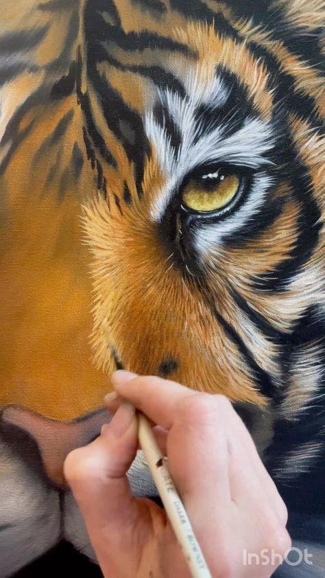 Doing the first layer of my new Tiger oil painting. Can’t wait to start all the detail. #artoftheday #oilpainting #justart #artyfeatures… | Instagram Xiao Genshin Impact Drawing, Anya Spy X Family Drawing, Genshin Impact Drawing Pencil, Tiger Painting Acrylic, Genshin Impact Drawing, Tiger Art Drawing, Tiger Oil Painting, Realistic Animal Drawings, Animal Canvas Paintings