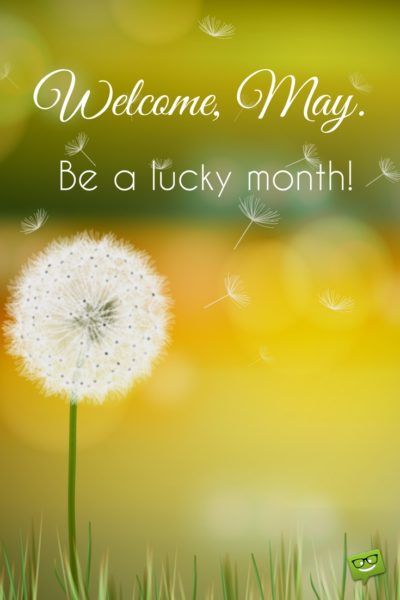 Welcome, May. Be a lucky month. Welcome May Image, Welcome May Quotes Month, Welcome May Month, Hello May Month, May Month Quotes, New Month May, Hello January Quotes, Hello May Quotes, Happy New Month Quotes