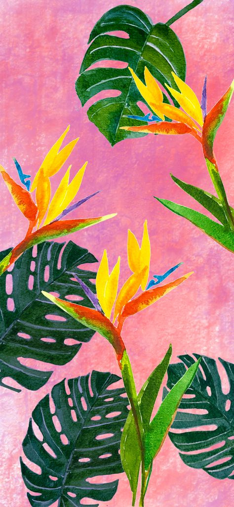 Boho Painting Plants, Boho Monstera Painting, Tropical Watercolour Painting, Tropical Plant Art, Monstera Plant Watercolor, Monstera Plant Illustration, Tropical Watercolor Paintings, Tropical Painting Easy, Tropical Plants Painting