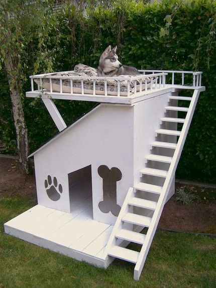 Why can't the dogs have a fort too? Mine would be on lookout up above (or sunbathing) and napping underneath in the den. Since it's for dogs though, it doesn't need to be so tall. Caine Husky, Dog Sanctuary, Modern Dog Houses, Cool Dog Houses, Modern Dog, Pet Stuff, Dog Kennel, Dog Houses, Diy Dog Stuff