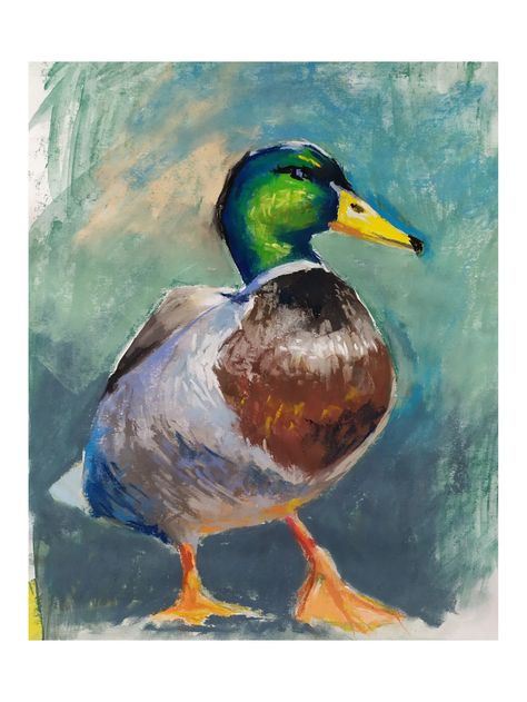 Animal Soft Pastel, Soft Pastels Drawing Animals, Soft Pastel Art Animals, Oil Pastel Bird Drawing, Animal Pastel Art, Oil Pastel Art Animals, Soft Pastel Animals, Pastel Bird Drawing, Animal Oil Pastel