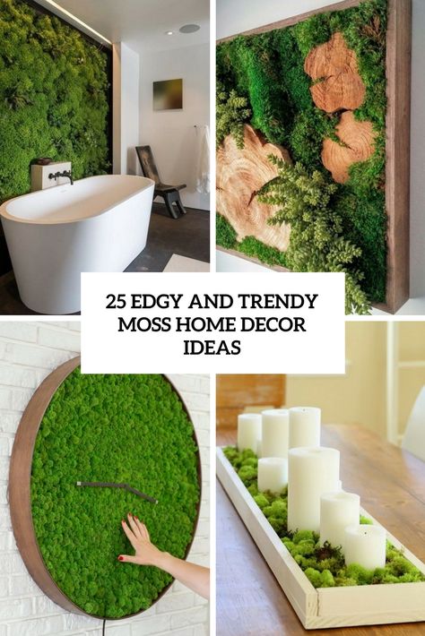 edgy and trendy moss home decor ideas cover Moss Wall Art Diy How To Make, Moss Decor Ideas, Moss Bowls, Moss Projects, Moss Diy, Mos Wand, Home Addition Plans, Atrium Design, Indoor Plant Wall