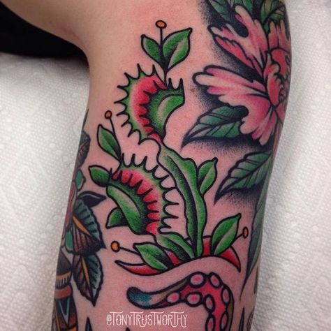 Carnivorous Plant Tattoo, Flytrap Plant, Plant Tattoo Ideas, Plant Tattoos, Traditional Tattoo Flowers, 2 Tattoo, Tattoo Plant, Traditional Style Tattoo, Tattoo Filler