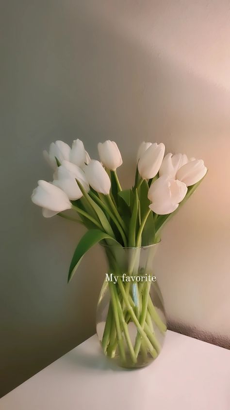 White Room Decor, Apartment View, Clear Vase, Boquette Flowers, Flower Gift Ideas, Tulips In Vase, Nothing But Flowers, Flower Bomb, Flower Therapy