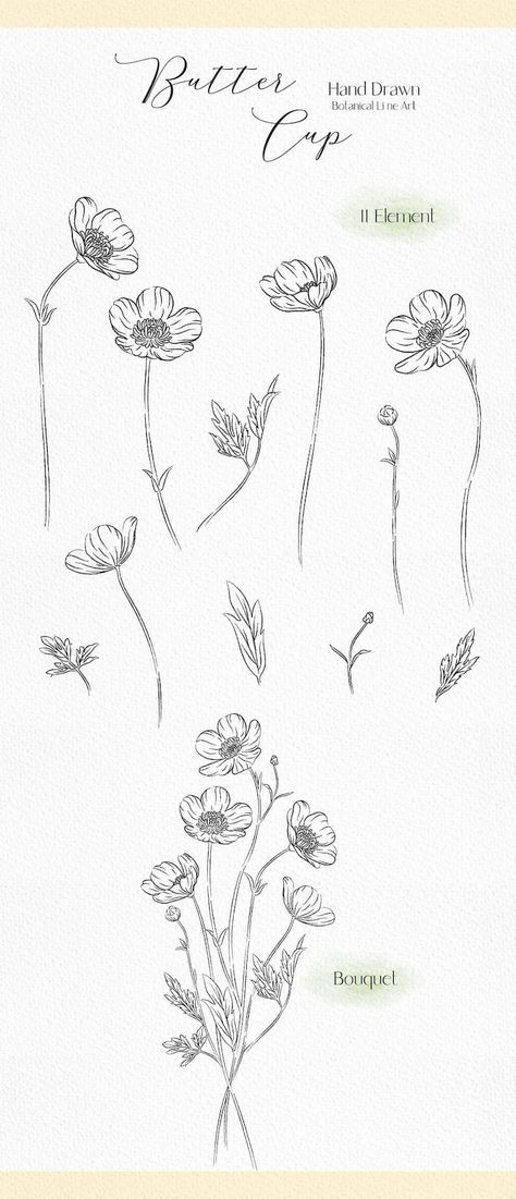 Line drawing buttercup clip art wildflower svg botanical | Etsy Meadow Buttercup Tattoo, Buttercups Flower Tattoo, Individual Flower Drawing, Buttercups Flowers Drawing, Buttercup Flowers Tattoo, Small Buttercup Flower Tattoo, Buttercup Drawing Flower, How To Draw Buttercup, Simple Wildflower Bouquet Drawing