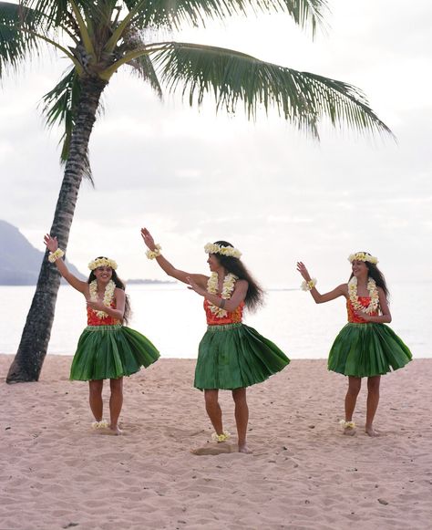 Hula dancers Hawaii Girl Aesthetic, Hawaiian Hula Dance, Hawaii Girl, Tahitian Costumes, Tahitian Dance, Hawaii Holiday, Hawaiian Dancers, Cow Costume, Ocean Resort