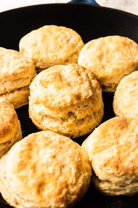 A Recipe for Sourdough Biscuits - Good Things Baking Co Buttery Sourdough Biscuits, Sourdough Discard Biscuits Easy, Sourdough Biscuits Recipe, Sourdough Discard Biscuits, Honey Butter Biscuits, Sourdough Biscuits, Discard Recipes, Flaky Biscuits, Biscuits Easy