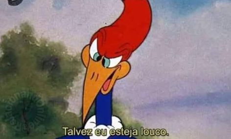 Woody Woodpecker, Street Fighter Art, Meme Faces, Street Fighter, Mood Pics, I Laughed, Funny Pictures, Funny Memes, Disney Princess