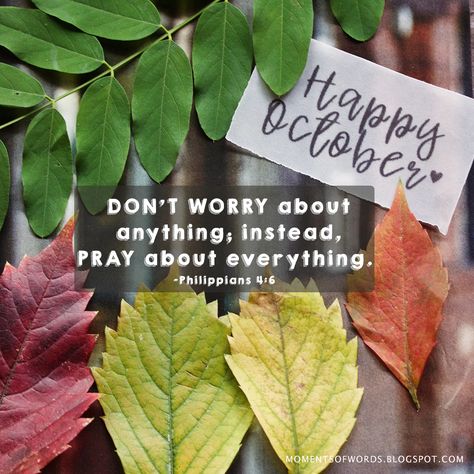 Have a blessed October!   ♥  #happyoctober #haveablessedoctober  #october Happy New October Month, October New Month Blessings, Hello October Images Quotes, October Blessings Prayer, Happy New Month October Wishes, October Wishes Quotes, Happy New Month October Blessings, Happy October Images, October Blessings Quotes