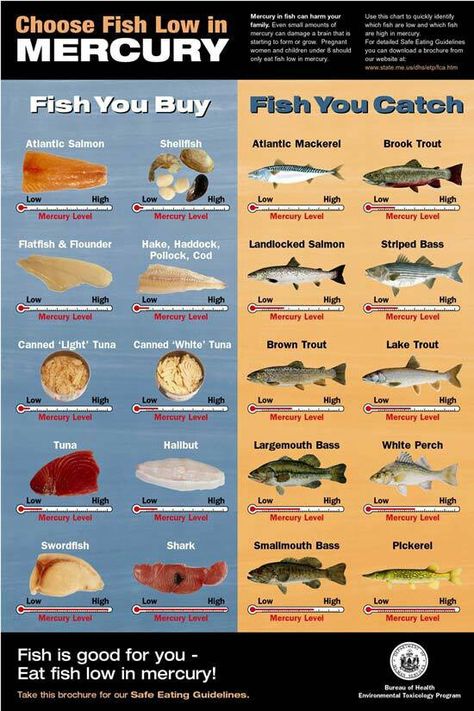 Mercury levels in fish Low Mercury Fish, Pescatarian Lifestyle, Pescatarian Diet, Seafood Shop, Sustainable Seafood, Buy Fish, Types Of Fish, Food Info, Survival Food