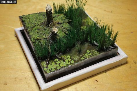 Features: Making a wetland, photo #62 Wetland Diorama, Diorama Nature, Wetlands Diorama, Swamp Diorama, Wetland Biome, Biomes Project, Snowmen At Night, Habitats Projects, Nature School