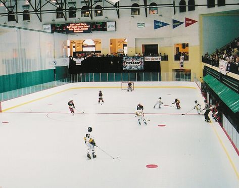 Backyard Hockey Rink, Hockey Room, Inline Hockey, Roller Hockey, Track Roller, Inline Skate, Roller Girl, Skating Rink, Inline Skating