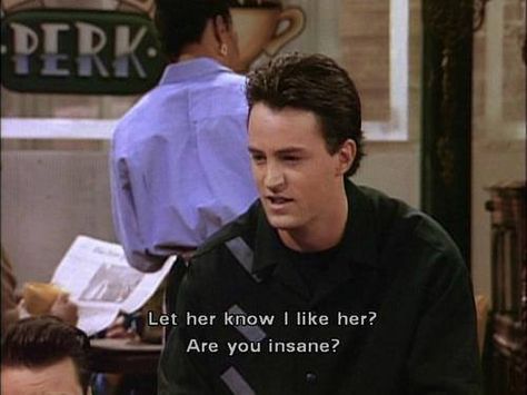 Let her know I like her? Are you insane? Chandler Bing Quotes, Monica Rachel, Friends Tv Show Quotes, Friends Cast, Ross Geller, Friends Moments, Phoebe Buffay, Friends Series, Chandler Bing