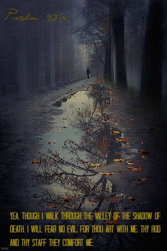 "God is with you, and He'll help you make spiritual progress... IT'S EASY TO QUIT, BUT IT TAKES FAITH TO PRESS ON TO VICTORY." ~ Joyce Meyer Reflection Photography, Love Rain, Soyut Sanat Tabloları, Foto Art, Dark Forest, Pics Art, In Water, In The Woods, Rainy Days