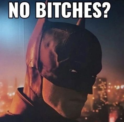 Insulting Memes, Sam Alexander, Batman Meme, Meme Names, Response Memes, Something In The Way, Dc Memes, You Meme, Dc Movies