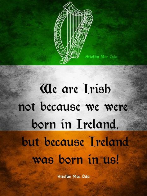 Irish! Irish Blessings, Irish Ancestry, Quote Tattoos, Irish Proverbs, Love Ireland, Irish Quotes, Irish Roots, Irish Culture, Irish Funny