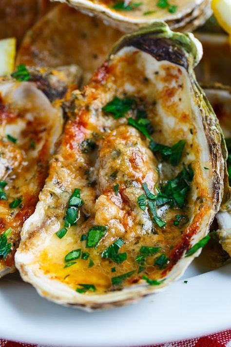 Chargrilled Oysters Oyster Pasta Recipes, Oysters On The Half Shell, Grilled Oysters, Recipes Seafood, Shell Fish, Oyster Recipes, Pecorino Romano, Stick Butter, Parmigiano Reggiano