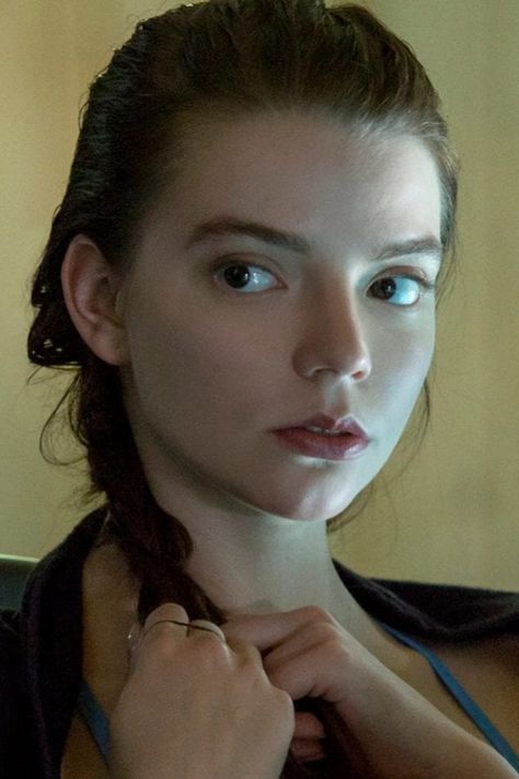 Anya Taylor Joy Brunette, Anna Taylor Joy, Anastasia Cebulska, Anna Taylor, Joy Art, Fourth Wing, Anya Taylor Joy, Celeb Crushes, Auburn Hair