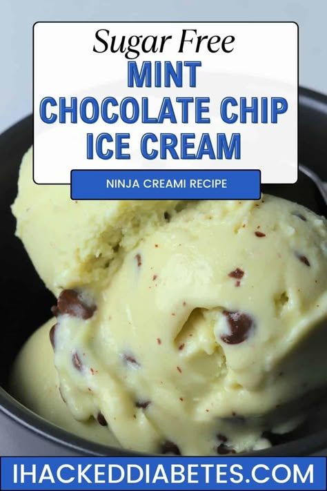 Mint Chocolate Chip Ice Cream Ninja, Sugar Free Italian Ice, Tiramisu Ice Cream Recipe, Ice Cream Ninja Creami, Mint Chocolate Chip Ice Cream Recipe, Chocolate Chip Ice Cream Recipe, Sugar Free Carrot Cake, Ninja Creamy, Sugar Free Ice Cream