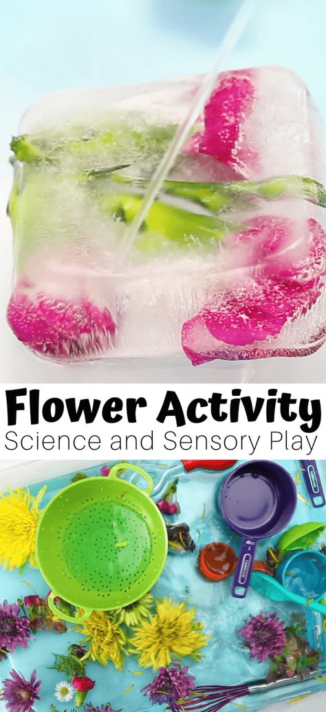 Daycare Spring Activities, Spring Time Toddler Activities, Letter F Science For Preschoolers, Spring Provocations For Preschool, Spring Science For Toddlers, Flowers Activity Preschool, Flower Provocations, Plant Toddler Activities, Planting Activities For Toddlers