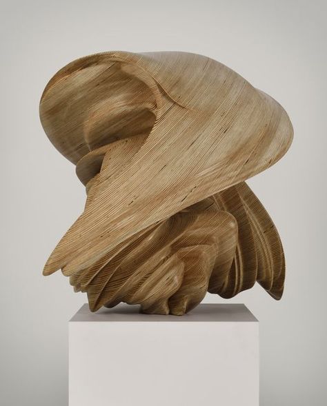 Tony Cragg, Wood Carving Art Sculpture, Art Carved, Wooden Sculpture, Sculpture Installation, Modern Sculpture, Land Art, Abstract Sculpture, Art Journal Pages