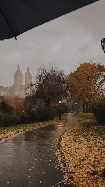 Simon & Jen on Instagram: "A clip from last November in New York. We got caught in the rain and it felt as if we had all of Central Park to ourselves…" November In New York, Rainy Nyc, Central Park Winter, November Aesthetic, Caught In The Rain, November Rain, In The Rain, Rainy Days, Central Park