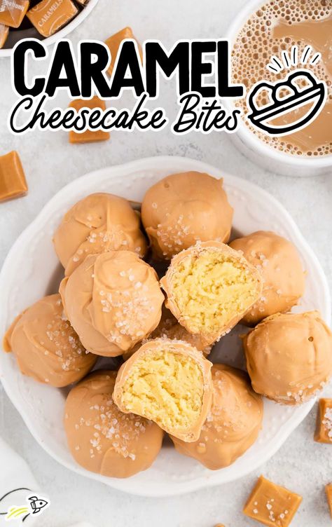 Mini Caramel Cheesecake, Protein Pops, Truffles Candy, Truffle Cookie, Caramel Cheesecake Bites, Cake Pucks, Chocolate Cheesecake Bites, Mini Cheesecake Bites, Caramel Bites