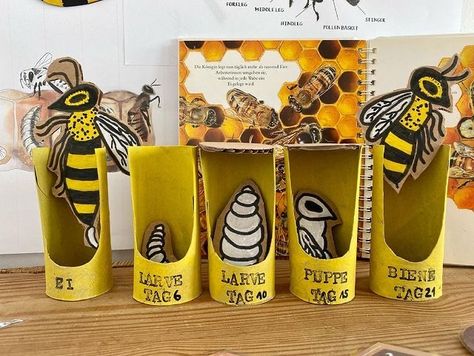 Lifecycle Of A Bee, Bee Lifecycle, Bee Games, Bee Products, Bee Activities, Bee Classroom, Insect Crafts, Garden Art Ideas, Nature School