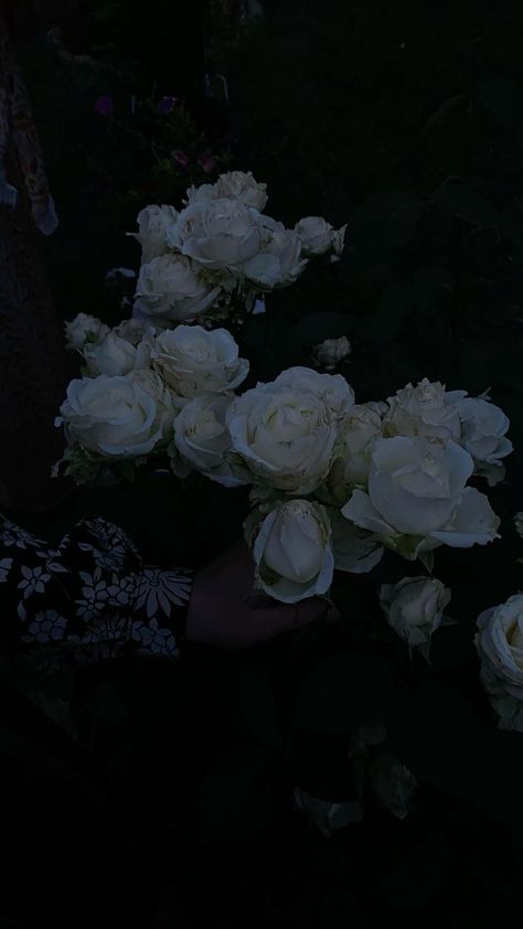 Dark Flower Wallpaper Aesthetic, Dark Floral Aesthetic, Rosé Dark Aesthetic, Haunting Adeline Aesthetic, Flower Aesthetic Dark, Adeline Aesthetic, Morgan Core, My Core Aesthetic, Emma Core