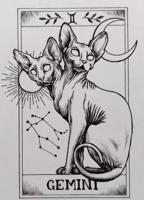 Sphynx Tattoo, Sphynx Cat Tattoo, Sphinx Tattoo, Tattoo Apprentice, Bday Cards, Sphynx Cat, Cat Aesthetic, Sphynx, Blackwork Tattoo