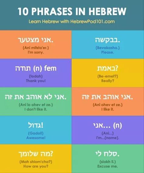 Arabic Basics, Arab Language, Learn Hebrew Alphabet, Hebrew Language Learning, Arabic Conversation, Hebrew Language Words, Hebrew Education, Hebrew Vocabulary, Spoken Arabic