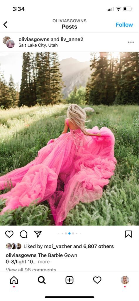 Big Fluffy Dress Photoshoot, Photoshoot In Pink Dress, Senior Picture Ideas Fancy Dress, Tulle Dress Senior Pictures, Field Photoshoot Big Dress, Big Flowy Dress Photography, Big Dress Photoshoot Poses, Big Gown Photoshoot, Ball Gown Senior Pictures